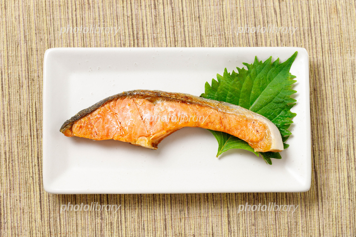 朝食には欠かせない塩鮭について ケンゾーの気になるニュースやお魚の情報